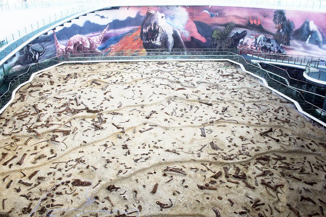 图片42.jpg